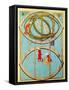 Armillary Sphere-Science Source-Framed Stretched Canvas