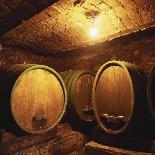 Wine Barrels, Bodega Domecq, Jerez, Spain-Armin Faber-Photographic Print