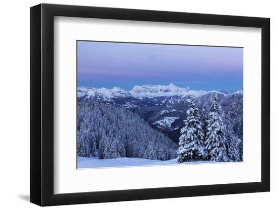Premium Photographic Print, , large