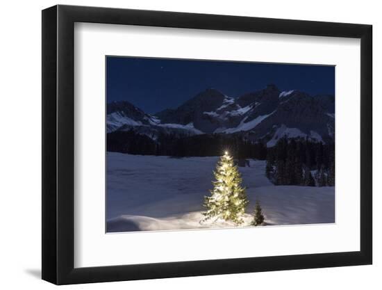 Premium Photographic Print, , large