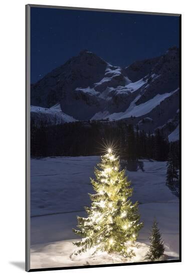 Photographic Print, , large