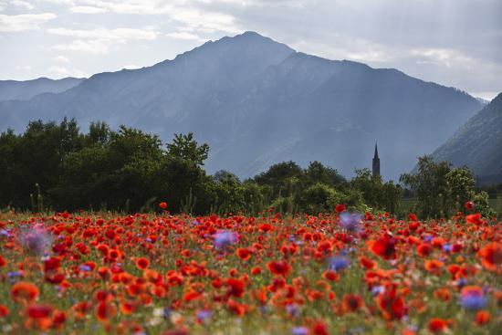 Photographic Print, , large