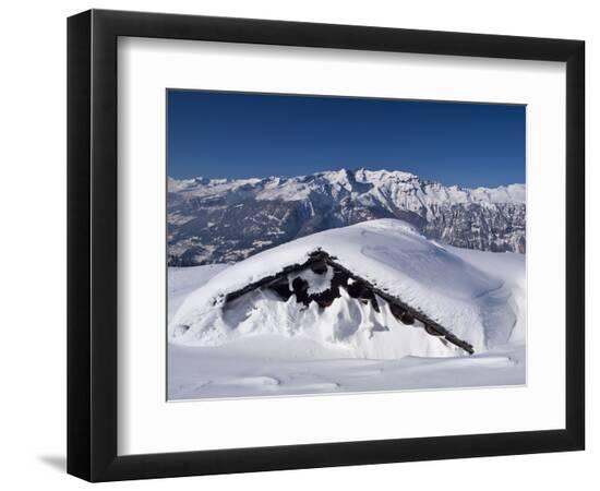 Premium Photographic Print, , large