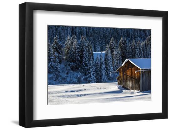 Photographic Print, , large