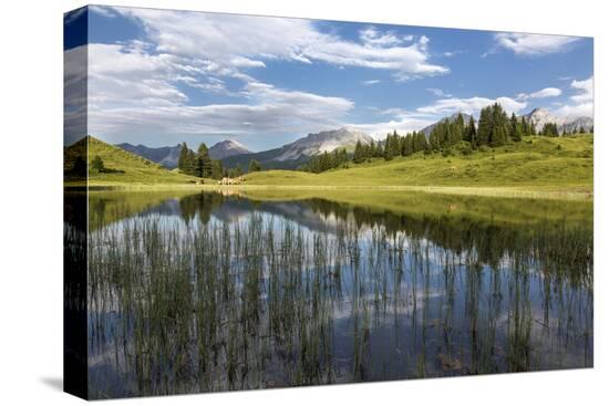 Stretched Canvas Print, , large