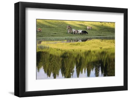 Photographic Print, , large