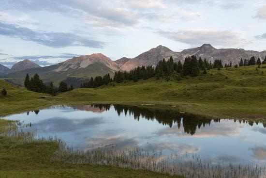 Premium Photographic Print, , large