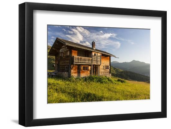 Premium Photographic Print, , large