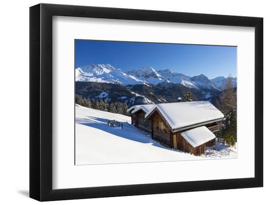 Photographic Print, , large