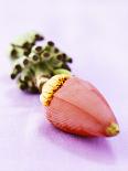 Two Plantains on a Banana Leaf-Armin Zogbaum-Photographic Print