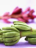 Two Plantains on a Banana Leaf-Armin Zogbaum-Photographic Print