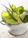 Green Salad and Chives in a Colander-Armin Zogbaum-Photographic Print