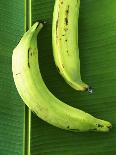 Two Plantains on a Banana Leaf-Armin Zogbaum-Photographic Print