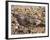 Armman, Jordan-Neale Clarke-Framed Photographic Print