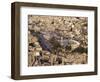 Armman, Jordan-Neale Clarke-Framed Photographic Print