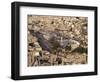 Armman, Jordan-Neale Clarke-Framed Photographic Print