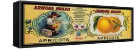 Armona Apricot Label - San Francisco, CA-Lantern Press-Framed Stretched Canvas