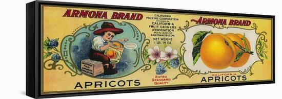 Armona Apricot Label - San Francisco, CA-Lantern Press-Framed Stretched Canvas