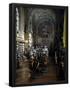 Essential Black