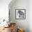 Armor for an Elephant-null-Framed Photographic Print displayed on a wall