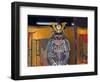 Armor Samurai, Kyoto, Japan-Shin Terada-Framed Photographic Print