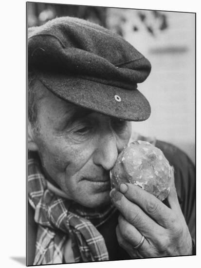 Armora of Truffle Is Inhaled by Italian Truffle-Gatherer-null-Mounted Photographic Print