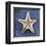 Armored Starfish Underside-John Golden-Framed Giclee Print