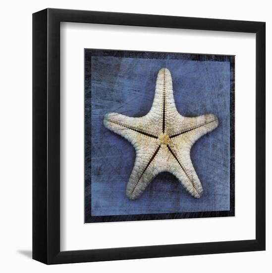 Armored Starfish Underside-John W^ Golden-Framed Art Print