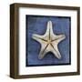 Armored Starfish Underside-John W^ Golden-Framed Art Print