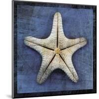 Armored Starfish Underside-John W^ Golden-Mounted Art Print