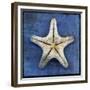 Armored Starfish Underside-John W Golden-Framed Giclee Print