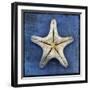 Armored Starfish Underside-John W Golden-Framed Giclee Print