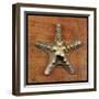 Armored Starfish-John W Golden-Framed Giclee Print