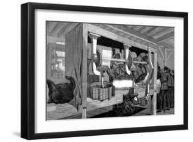 Armour Company's Pig Slaughterhouse, Chicago, Illinois, USA, 1892-null-Framed Giclee Print