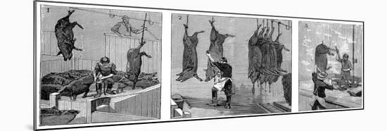 Armour Company's Pig Slaughterhouse, Chicago, Illinois, USA, 1892-null-Mounted Giclee Print