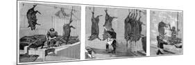 Armour Company's Pig Slaughterhouse, Chicago, Illinois, USA, 1892-null-Mounted Giclee Print