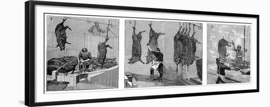 Armour Company's Pig Slaughterhouse, Chicago, Illinois, USA, 1892-null-Framed Premium Giclee Print