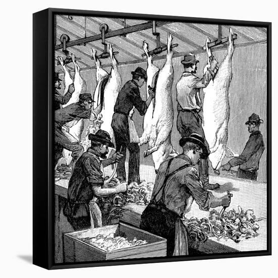 Armour Company's Pig Slaughterhouse, Chicago, Illinois, USA, 1892-null-Framed Stretched Canvas
