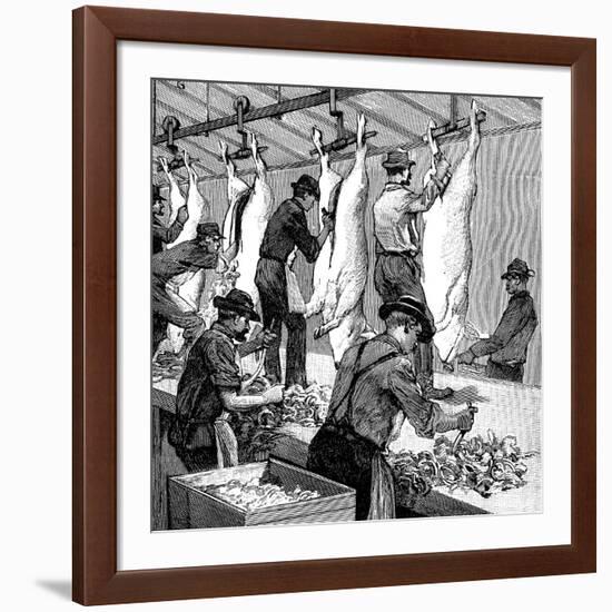 Armour Company's Pig Slaughterhouse, Chicago, Illinois, USA, 1892-null-Framed Giclee Print