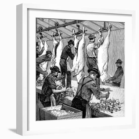 Armour Company's Pig Slaughterhouse, Chicago, Illinois, USA, 1892-null-Framed Giclee Print