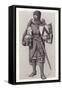 Armour-Pat Nicolle-Framed Stretched Canvas