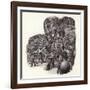 Armoured Chinese Army Elephant-Pat Nicolle-Framed Giclee Print