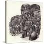 Armoured Chinese Army Elephant-Pat Nicolle-Stretched Canvas