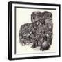 Armoured Chinese Army Elephant-Pat Nicolle-Framed Giclee Print