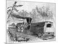 Wood Mount
