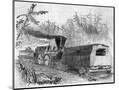 Wood Mount