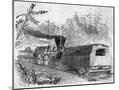 Wood Mount