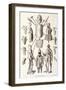 Arms and Armour from the Tower of London, 1784-NC Goodnight-Framed Giclee Print