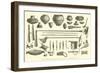 Arms, Earthenware Vessels, and Household Utensils of the Chontaquiro Indians-Édouard Riou-Framed Giclee Print