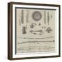 Arms, Etc, Taken from the Bhooteas at the Storming of Dewangiri, Bhootan-null-Framed Giclee Print